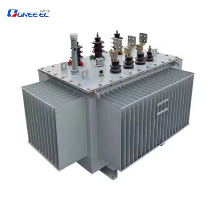 100kVA Electrical Insulation Class Oil Immersed Transformer